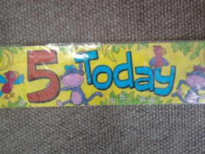 Banners & sashes - 5th Birthay banner - assorted designs