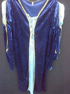 Kids Costumes to Hire - Blue Velvet Medieval Dress