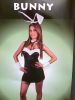 Adult Female Costumes to Hire - Bunny outfit - headband, dress, cuffs, bowtie