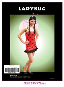 Kids Costumes to Hire - Ladybug costume with wings & aliceband