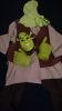 Adult Male Costumes to Hire - Shrek - pants, shirt, waistcoat, hood, mask & hands
