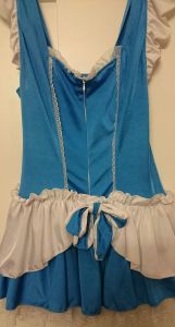 Adult Female Costumes to Hire - Cinderella - short