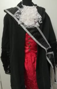 Adult Male Costumes to Hire - Pirate/Baroque Man