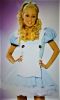 Adult Female Costumes to Hire - Alice - Wonderland Cutie