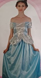 Kids Costumes to Hire - Cinderella - TEEN